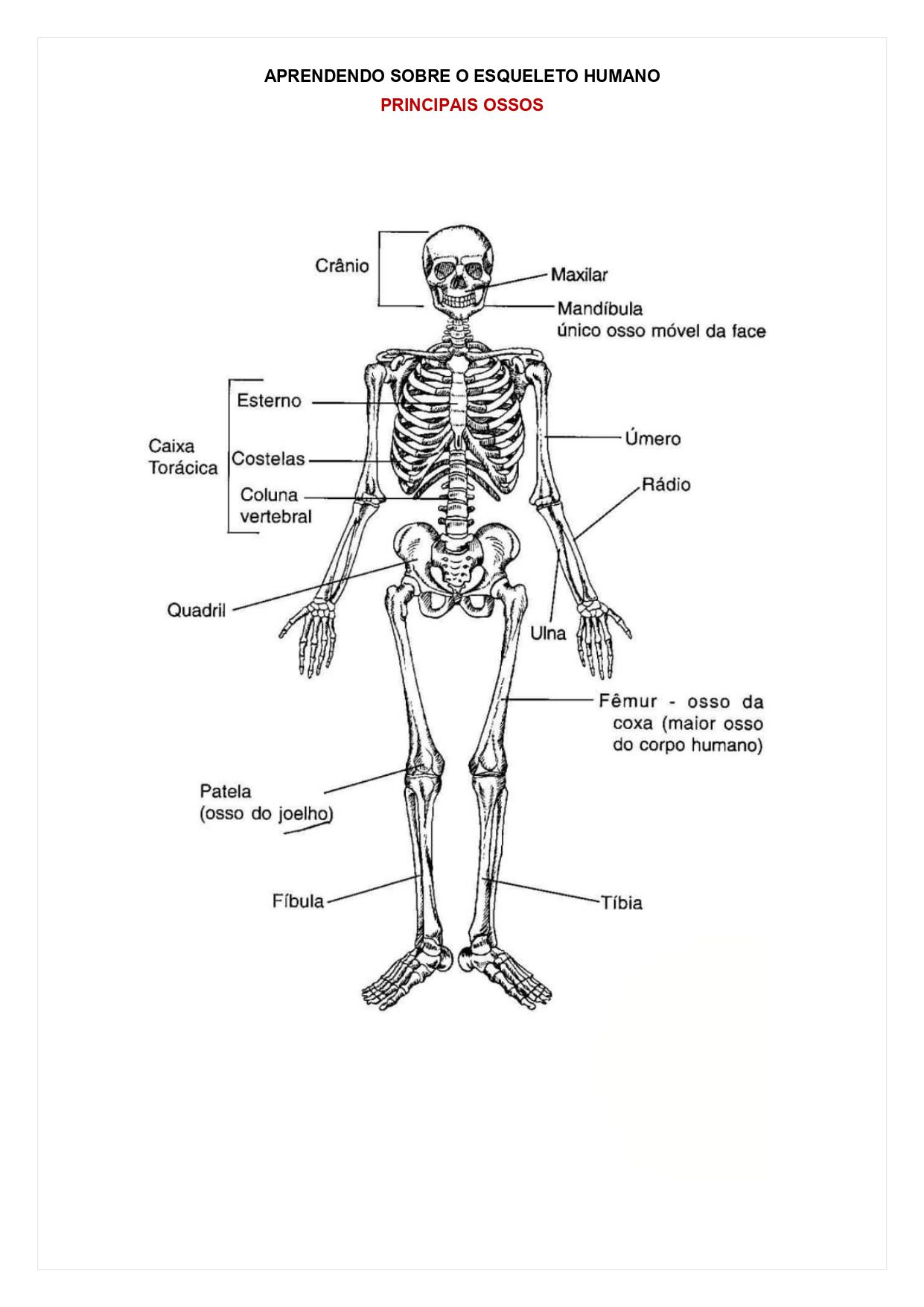 3. ATIVIDADES PARA O FUNDAMENTAL ll_page-0035