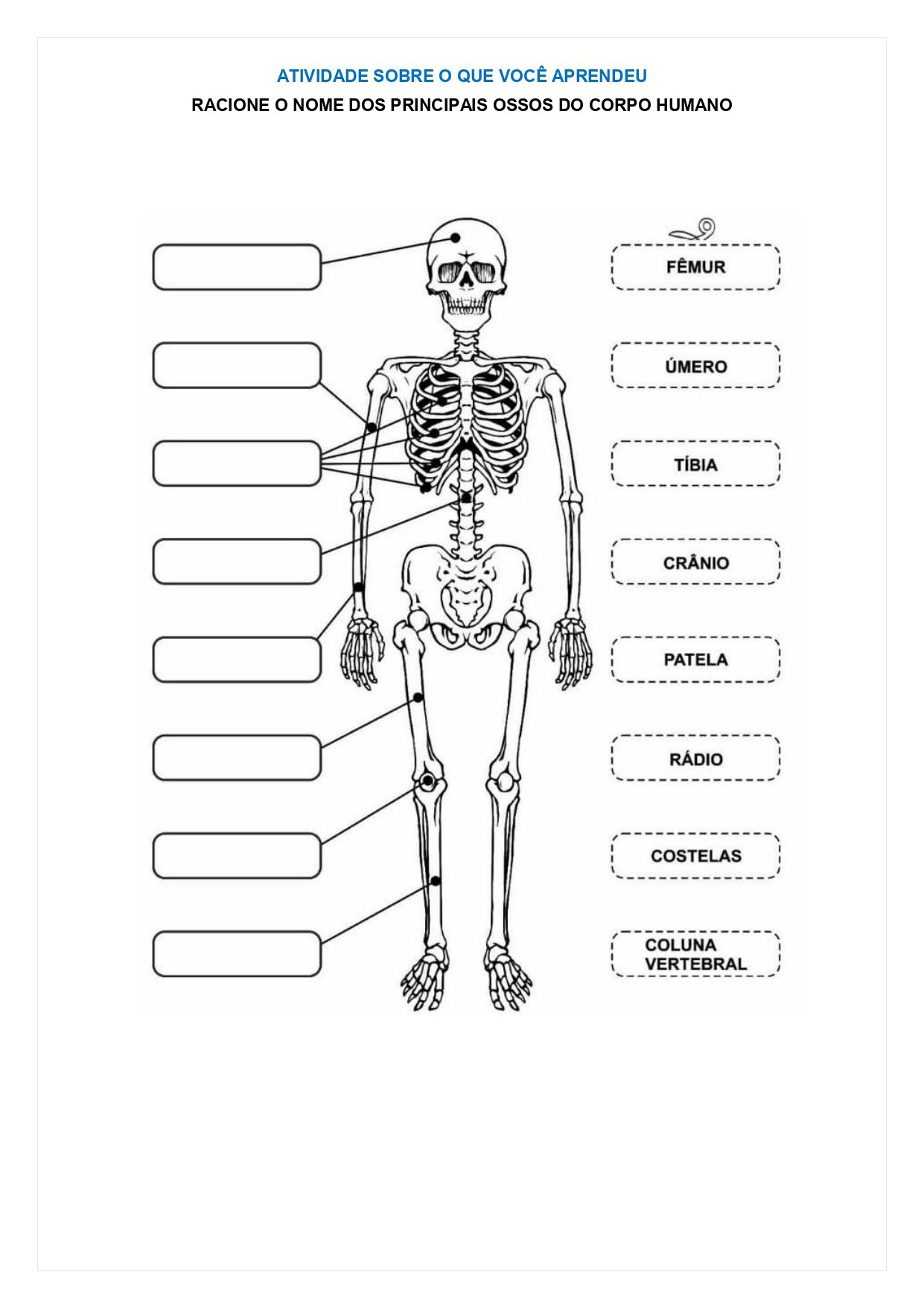 3. ATIVIDADES PARA O FUNDAMENTAL ll_page-0036